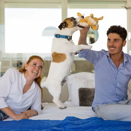 Dory Hotel