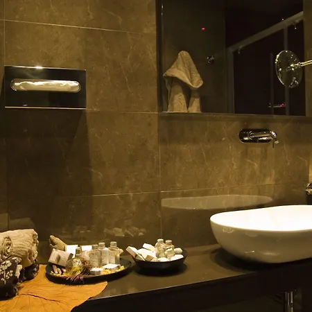 酒店 多莉酒店 里乔内