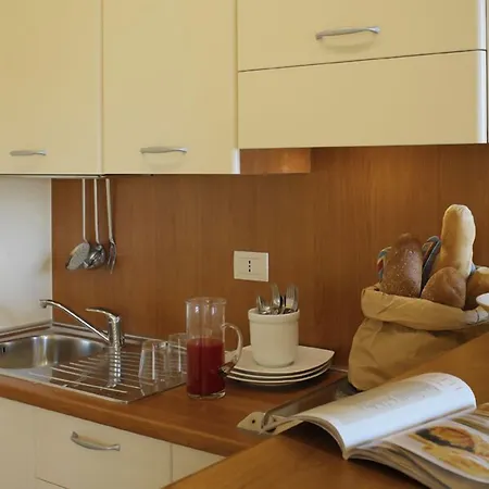 多莉酒店 酒店 里乔内